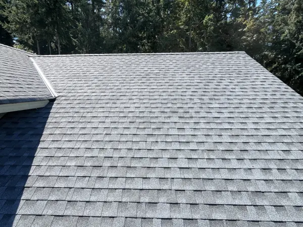 Completed roofing project by Safari Roofing, photo 10